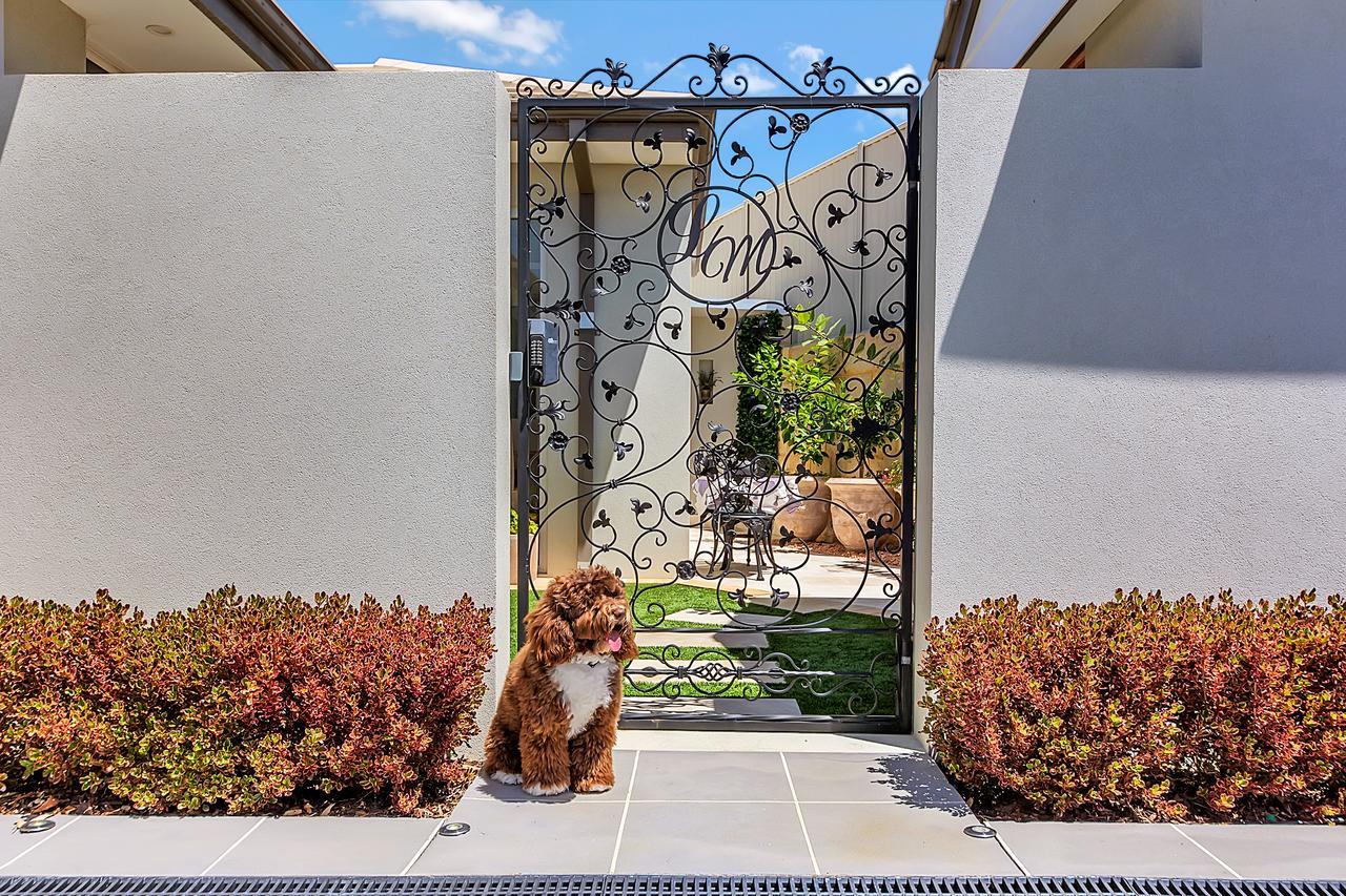 Lavender Manor Bnb Bed and Breakfast Alkimos Εξωτερικό φωτογραφία